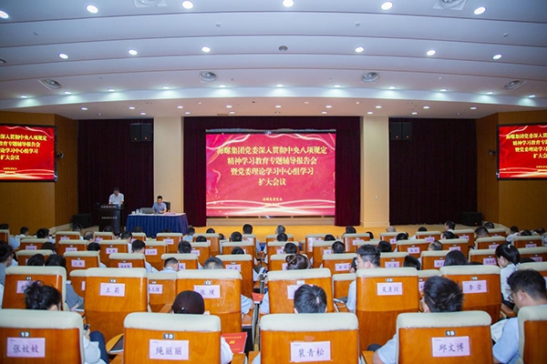 海螺集團黨委召開深入貫徹中央八項規(guī)定精神學習教育專題輔導報告會暨黨委理...